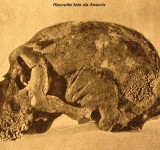 Grotta Guattari: la grotta del cranio dell'uomo di Neanderthal